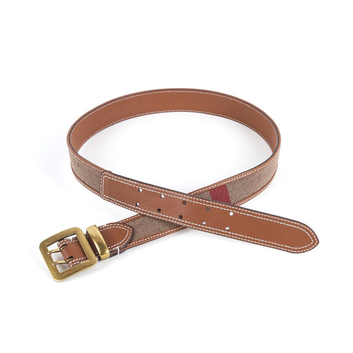 New Fashionable Ladies Belt for Export Trade Live Broadcast Canvas with Top Grain Leather Pin Buckle Waist Seal Large Buckle Belt for Women 