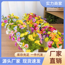 �羳��ľ�Жřڼٻ�������С�r�ջ��̨�bGֲ���Ԕ[�����ϰٺ�