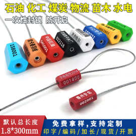 一次性货运油罐车封条水电表集装箱物流封签施封锁扣扎带钢丝铅封