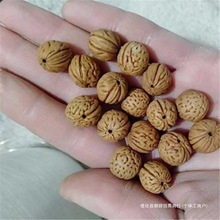 Сɽ�Һ˴��ԭ�Ͼ��xɽ�Һ����A�X�y�tƤ�����ִ�50�w���]�V���o