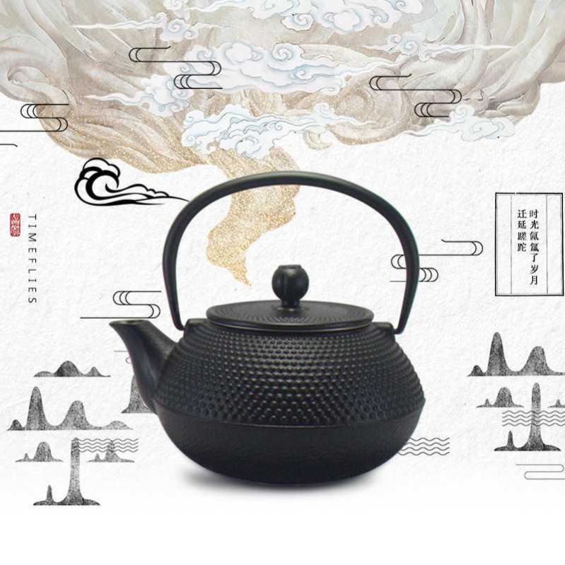 [Iron Tea Pot with Stainless Steel Infuser Cast Iron Teapot]
