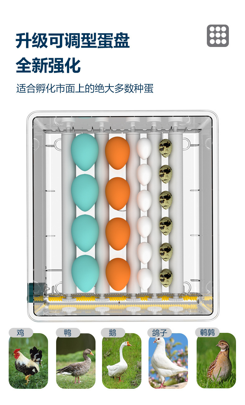 字体检查2_05.jpg