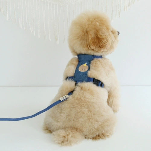 Новые трансграничные товары для домашних животных Веревка для прогулки с милыми собаками Корги Тедди Биксионг Поводок для средних и маленьких собак и кошек