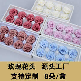 婚庆永生花A+玫瑰花头4-5cm/8朵装保鲜花真花母亲节礼物DIY花材