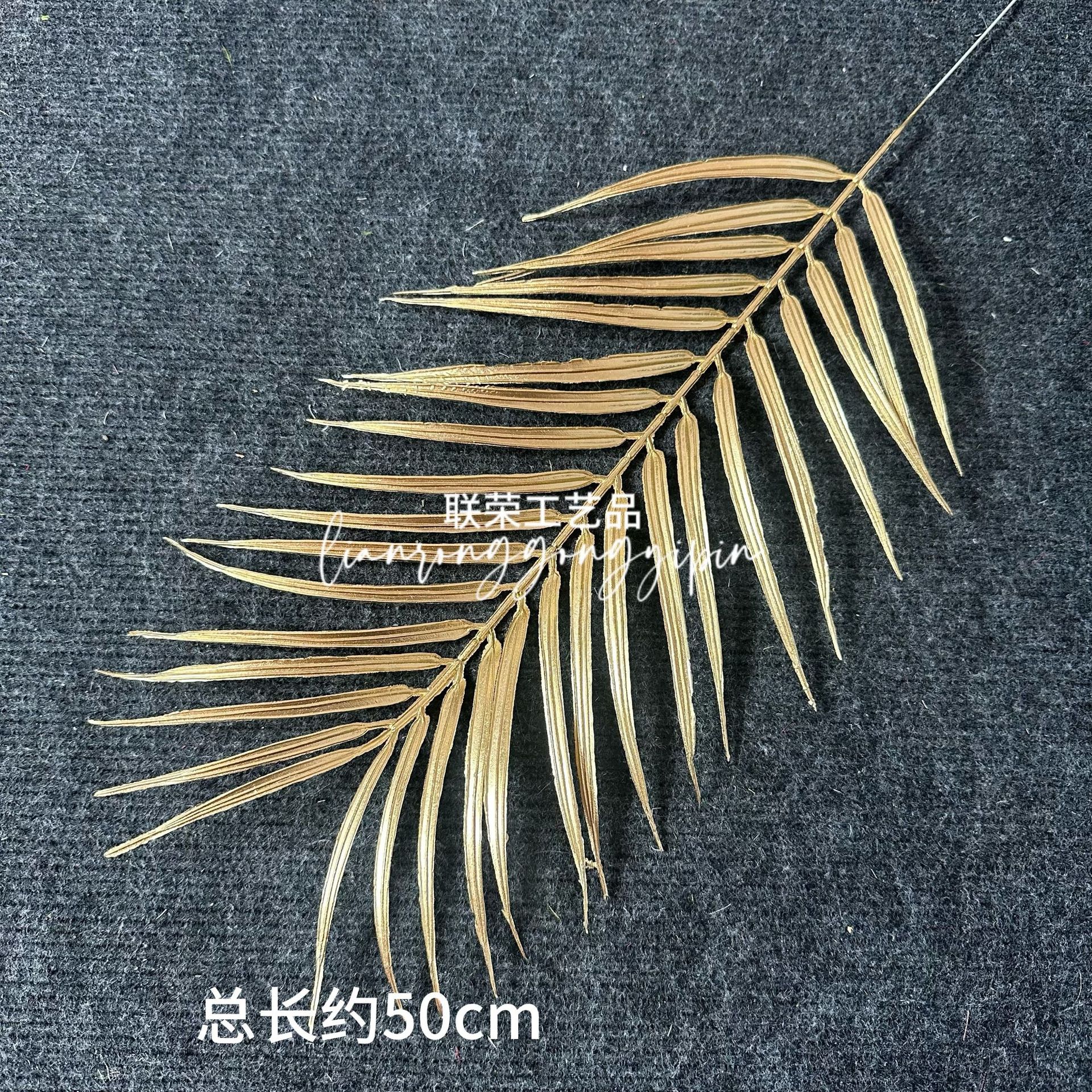 Single sunflower leaf