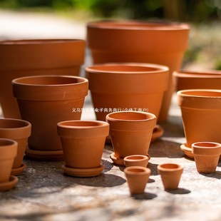 �t����t�ջ��軨�����l����������t�����t��