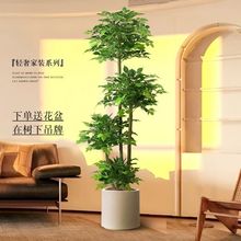 ����Gֲ�Ҹ�����������҃ȴ��ͷ���ֲ��[���͏d�p���b��٘�