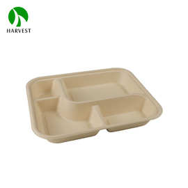 一次性四格五格打包饭盒 外卖轻食餐盒可降解纸浆甘蔗浆餐盘托盘