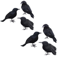 黒カラスの羽カラスのハロウィーンの装飾ハロウィーンの装飾カラスの庭園の道具の装飾