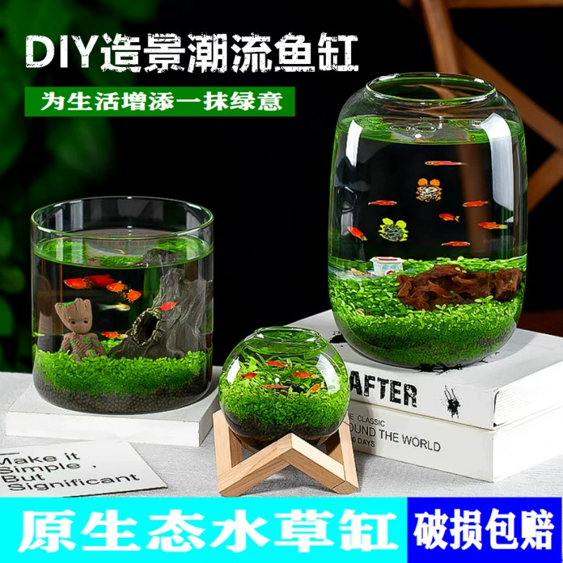 Экологический аквариум для дома, DIY, креативный, ленивый, искусственный ландшафт, водная трава, грязь, семена, стеклянная бутылка, настольный микроландшафт, трансграничный