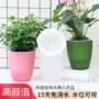 电商吸水跨境a71花盆