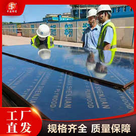 覆膜板 建筑黑模板 选中南神箭厂家 可签约质保 价格实惠木板材中