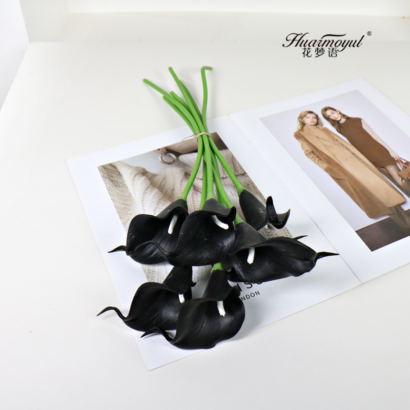 칼라 릴리-블랙(화이트 코어)