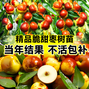 �������󗗳����������ϱ���մ��������䰫���޽��糬���ش�̖