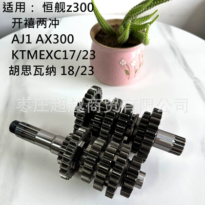 Husqvarna Aj1 Racing Gear – Transmission gear and shaft