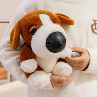 �ɐ۴��^�����Ќ���ż����ë�q��߹�ʿ��»����Ѓ�ͯ������