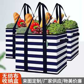 厂家批发无纺布收纳盒手提便携收纳盒简约文艺大容量野餐包收纳盒