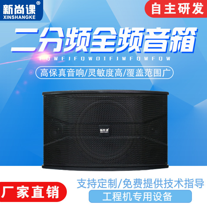 Frecuencia bi-divisada profesional 8 pulgadas 10 pulgadas 12 pulgadas KTV entretenimiento barbacoa bar verde entrenamiento sala de conferencias de baile caja de sonido