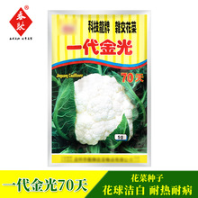 白花菜种子 白花菜种子品牌 图片 价格 白花菜种子批发 阿里巴巴