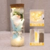 Wish Bottle Rose Pink Snow Mountain