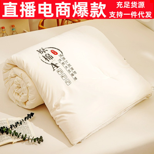 Maternal and infant grade A-grade raw cotton soy protein fiber quilt winter thickened single and double quilt core student quilt manufacturer wholesale