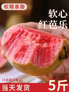 �V��ܛŴ�t�İŘ�ˮ�����r���]������ʯ�������֬�t�����uʺ��