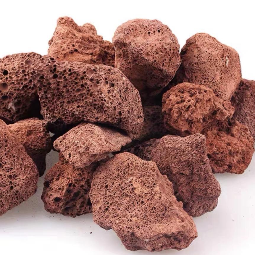 5파운드 4~7cm 정도 [인기사양] 30위안 정도