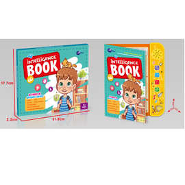 跨境新品英文点读书多功能早教手指触摸益智玩具智能有声电子书