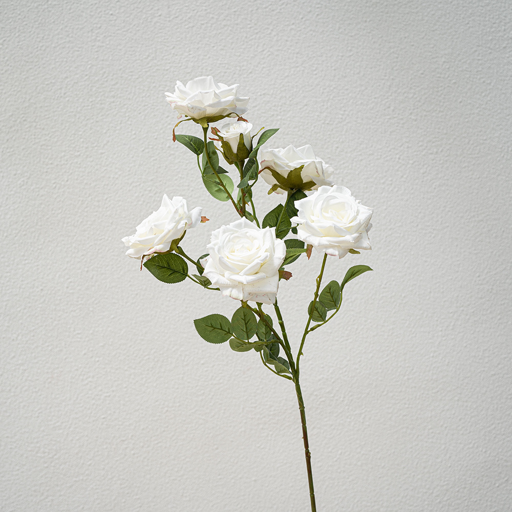 White Seven Head Diamond Rose