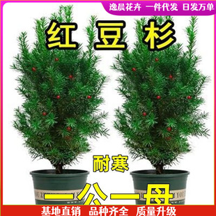 �ͺ����؁��t��ɼ���������辰�����҃��⻨�ܾGֲֲ���ļ��L��