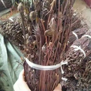 ���滨 �JȔ�� ����Ұ�� �߼��� ��é�����`֥����������i��