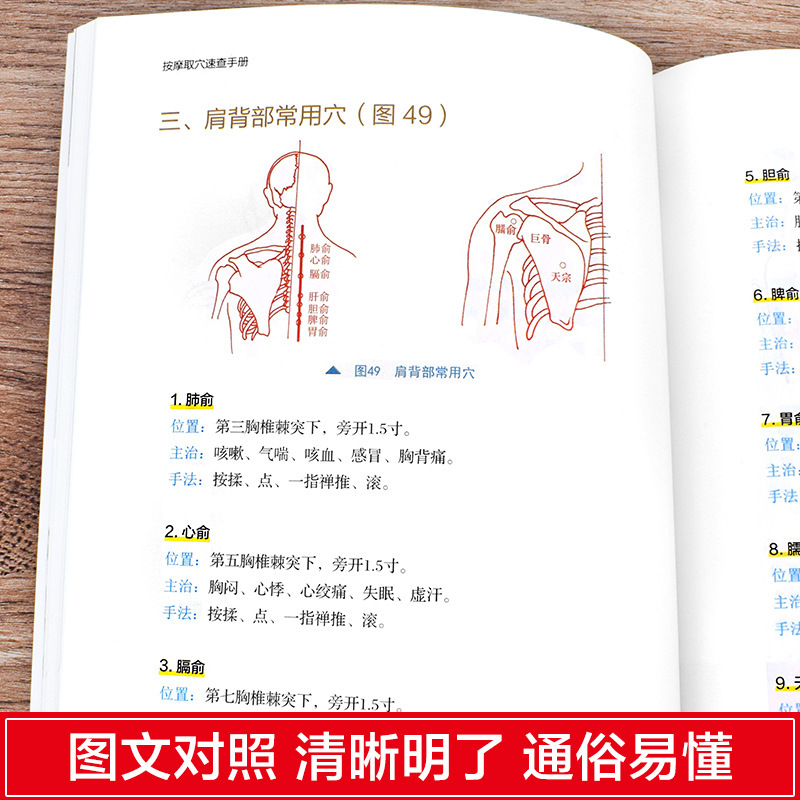 전신 경락, 침술, 두피 마사지, 발 마사지, 만병 치료를 위한 속보 매뉴얼 전 5권