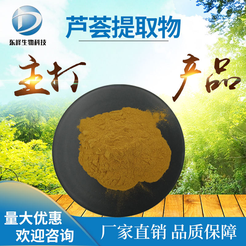 20:1芦荟提取物 食品原料库拉索芦荟提取物源头货源芦荟提取物