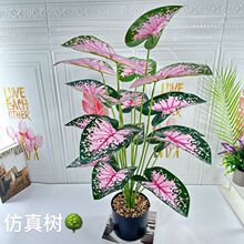 WL͏dGֲ~ԼپGֲ[bٻ[O