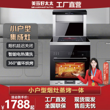 单灶集成灶公寓出租屋小户型一体灶蒸烤箱消毒柜电磁炉集成灶