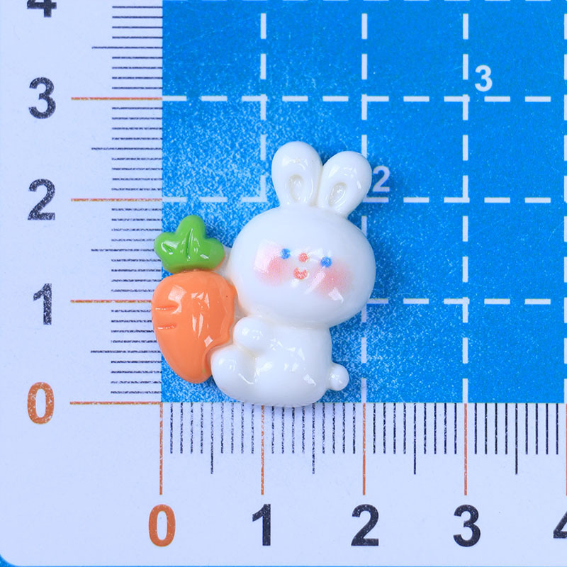 당근 흰 토끼