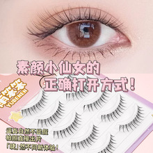 �������С��Ů����ʽ�ٽ�ëһƬʽ���R�C����y���y�����]���N