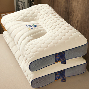 Thai Latex Pillow Cervical Spine Pillow Core Rectangular Neck Protector Pair Household Natural Rubber Single Dormitory Student
