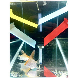 Aquarium Pet Supplies Ornamental Fish Incubator Colorful Fairy Swallow Fish Breeding Spawning Plate Jar Four-Color Fish Tank Equipment