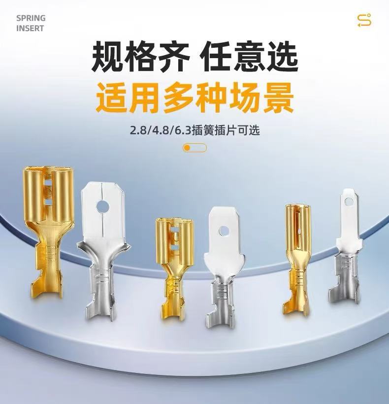 微信图片_202505051520341