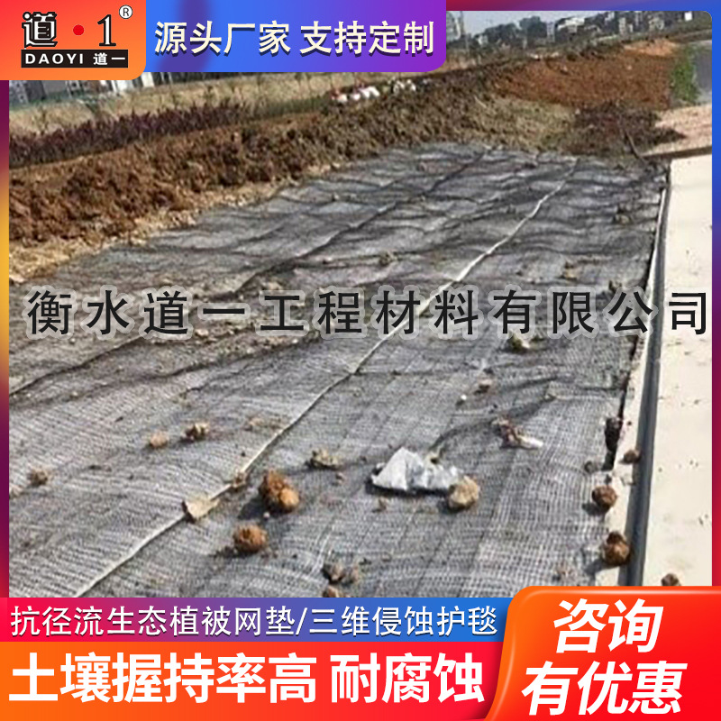 厂家生态植被袋护坡三维植草土工网垫固土三维网绿化三维侵蚀护毯