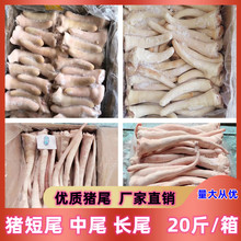 新鲜冷冻猪尾巴 猪短尾 商用猪尾巴 长猪尾20斤 餐厅卤水店烧烤食