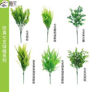 �羳��������ֲ�ﲨ˹�~��c�廨�ȼ���ֲ��Gֲ�bG�}������