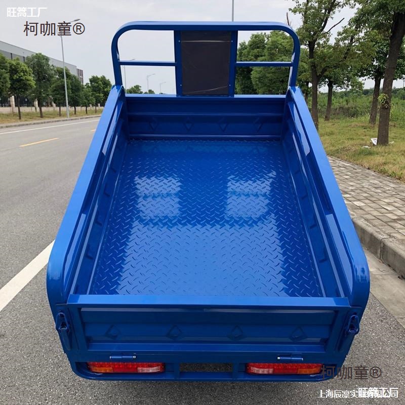 Electric Tricycle Express Climbing Freight Transport Substitute Pick-up Agricultural Adult New Car Mountain Area Factory