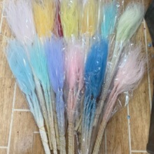 diy�¿���ë�ݿ͏d�b�ᘻ���ë���M���������L�U�������ɻ��W�t