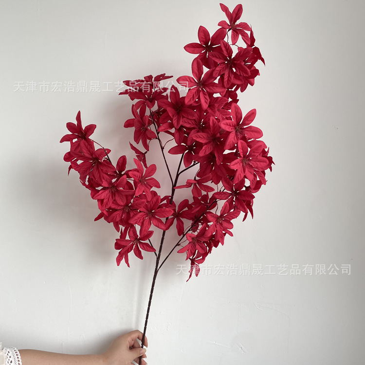 微信图片_202208191624364_副本