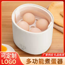 110V220V跨境英规欧规美规多功能煮蛋器温泉蛋蒸蛋器溏心蛋煎鸡蛋