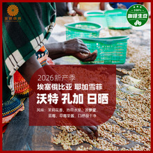 ���]�������ȁ�Ү��ѩ�����ؿ׼��Օ�G1��Ʒ��������2026�®a��