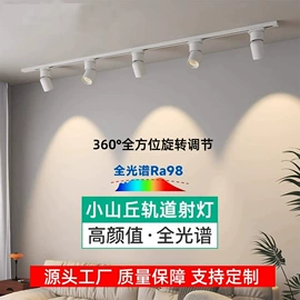 吸顶灯;吊灯;风扇灯