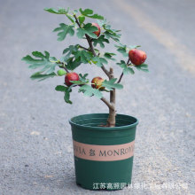 �޽ӵ������Ԙ���ͥԺ�̨�Nֲ�҃���ֲ��o��������